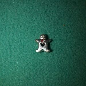 Pandora Charms